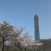 「春の東山スカイタワー」【日本気象協会】全国タワーフォトコンテスト～全国のタワーのフォトを募集します～の投稿画像