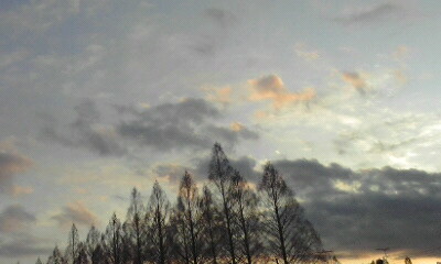 雲と空と木の画像（1枚目）