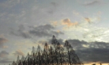 「雲と空と木」の画像（1枚目）