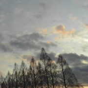 雲と空と木