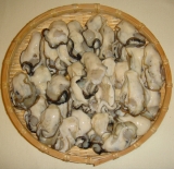 口コミ：厚岸産「生」 むき牡蠣で土手鍋の画像（3枚目）