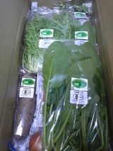 口コミ記事「ふるさと２１青森県の新鮮有機ＪＡＳ野菜パックを産地直送で」の画像
