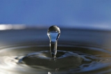 「大切な水」の画像（1枚目）