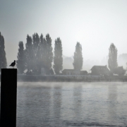 「冬の早朝、北西フランスの川岸にて」【クリンスイ】～水のある風景～　写真テーマ「冬」の投稿画像