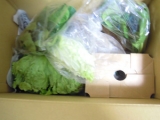 口コミ記事「【らでぃっしゅぼーや】から有機・低農薬野菜が届いたよ♪」の画像