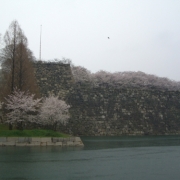 雨の大阪城