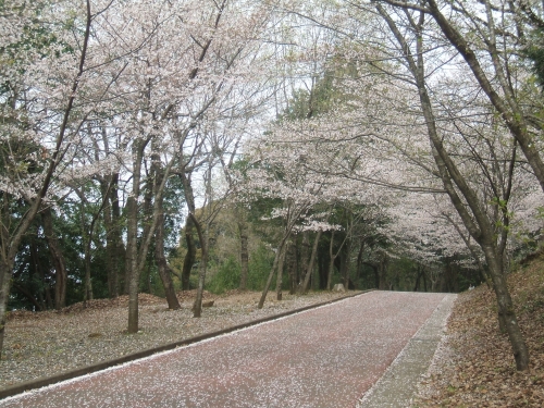 皆の元気の素の画像（1枚目）