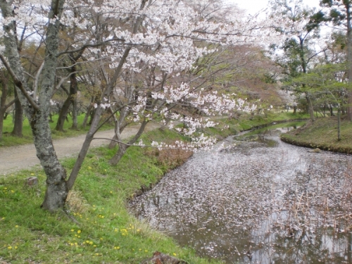 春の小川の画像（1枚目）