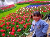 口コミ：春まっさかり〜♪昭和記念公園で満喫の日曜日の画像（15枚目）