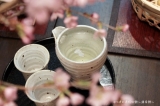 「家桜で花見酒。」の画像（1枚目）