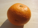 口コミ：絶品！無農薬な清見オレンジの画像（8枚目）