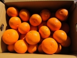 口コミ記事「絶品！無農薬な清見オレンジ」の画像