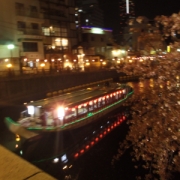 葉桜と屋形船