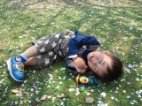 桜のじゅうたんでお昼寝☆