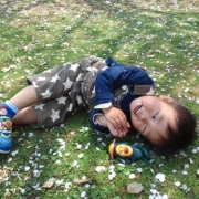 桜のじゅうたんでお昼寝☆