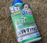 口コミ記事「雑草対策「シバキーププラスα」濃い緑の庭ゲット！」の画像