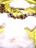 「泡のドレス」の画像（1枚目）
