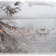 雨の王冠