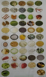 口コミ：52種類の食品が摂れる「韓穀菜」の画像（1枚目）