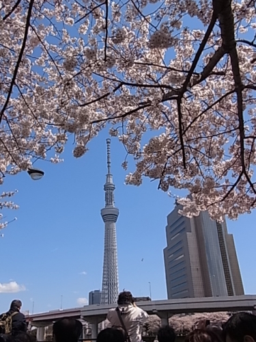 一般公開前のスカイツリーと一緒に・・・の画像（1枚目）