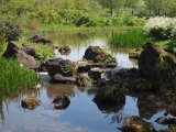 水のある風景：庭園