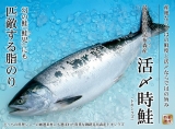 口コミ記事「今日の夕食：超豪華・時不知鮭の塩焼き」の画像