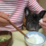 雨だいきらい・・・