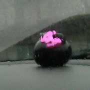 「雨の車内」【クリンスイ】～水のある風景～　写真テーマ「雨」の投稿画像