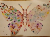 「蝶々」の画像（1枚目）