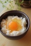 「美しい卵」の画像