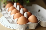 「美しい卵」の画像