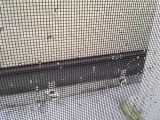「網戸にかかる雨粒」の画像（1枚目）