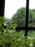 「窓辺の雨」の画像（1枚目）
