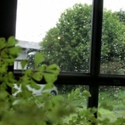 窓辺の雨
