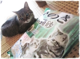 口コミ記事「トイレに流せる☆ひのきの猫砂」の画像