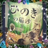 口コミ記事「ネコのトイレ事情!!」の画像
