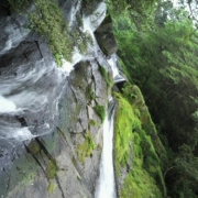 熊本の水