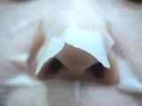 口コミ：★e-Lac Japan★JBS　Placental Mask　体験レポートの画像（20枚目）