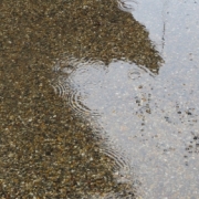 「雨の東寺」【クリンスイ】～水のある風景～　写真テーマ「きれいな水」の投稿画像
