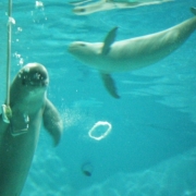 水族館