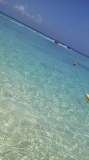 「水納島の海」の画像（1枚目）