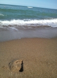 「美しい海　白い砂」の画像（1枚目）
