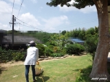 口コミ：●モニプラ●阪神タイガース　冷水スカーフ＆サインボール♪の画像（4枚目）
