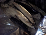 口コミ記事「釧路直送「トロ秋刀魚」で、刺身と塩焼き」の画像
