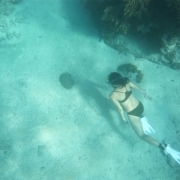 「座間味島でシュノーケル☆」【クリンスイ】～水のある風景～　写真テーマ「スポーツと水」の投稿画像