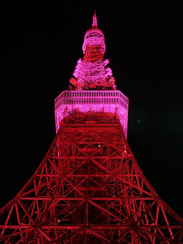 ピンクの東京の画像（1枚目）