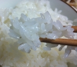 口コミ：お米がドーンと新米おぼろづき　美味しい我が家の夕食♪の画像（4枚目）