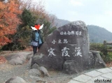 「寒霞渓」の画像