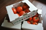 口コミ記事「朝からがっつり！いわきのトマトとキムチの元気やっこ」の画像