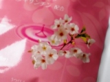 口コミ：桜と白美人の画像（3枚目）